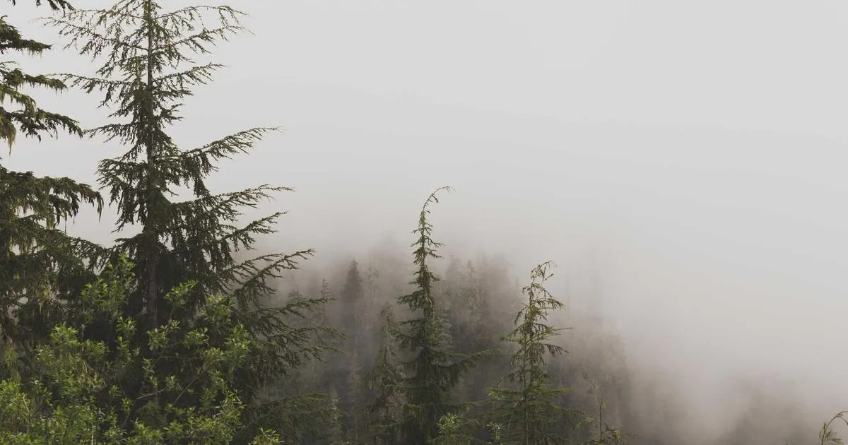 25年8月固始的一餐